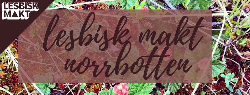 banner med texten "lesbisk makt norrbotten"